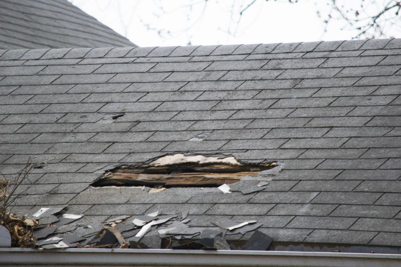 Damaged Asphalt Shingles