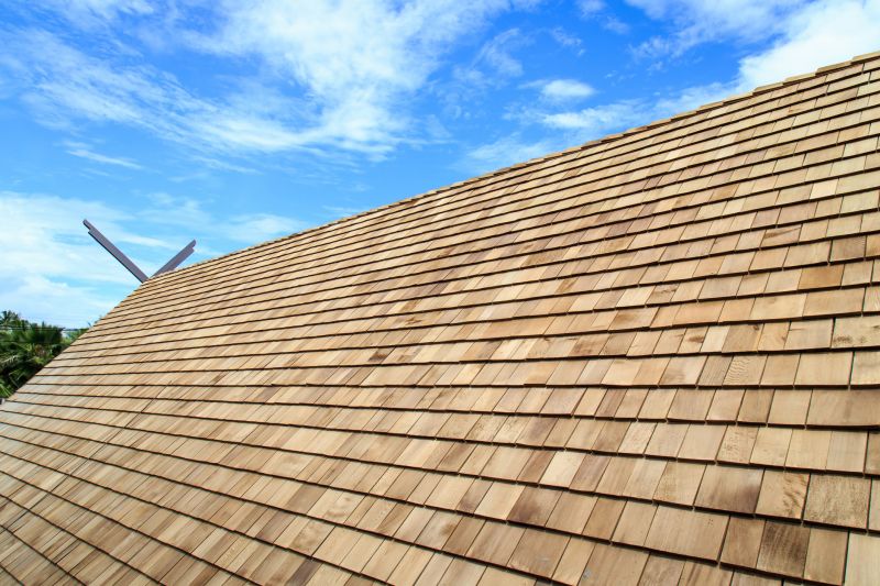 Shake Roof Replacement detail