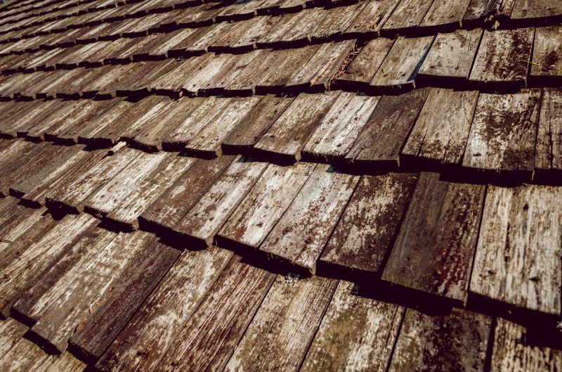 Shake Roof Replacement detail