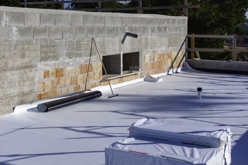 Tpo Roof Coating Service